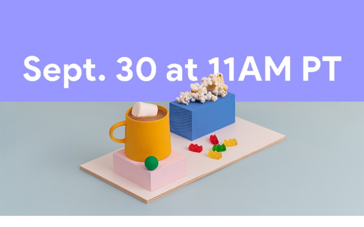 Google Pixel 5 launch